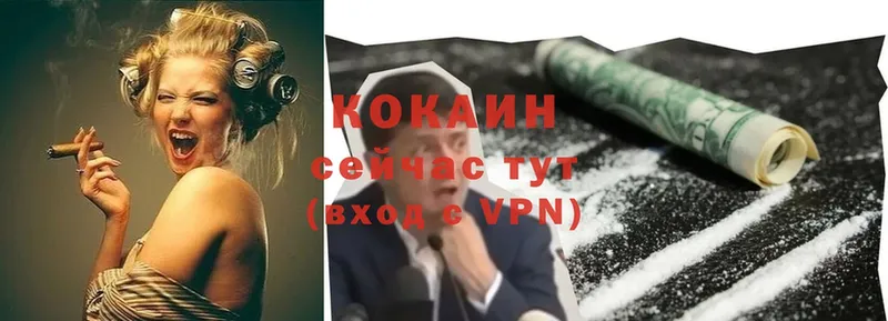 Cocaine FishScale  магазин  наркотиков  Льгов 