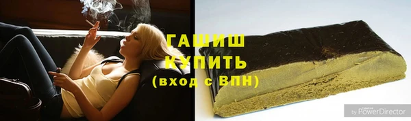 прущие грибы Ладушкин