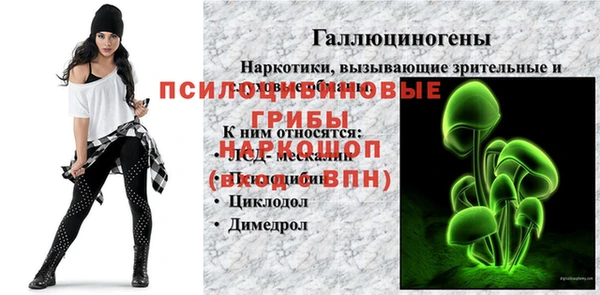 ПСИЛОЦИБИНОВЫЕ ГРИБЫ Ахтубинск