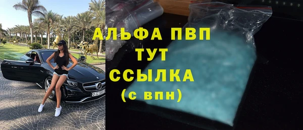 прущие грибы Ладушкин